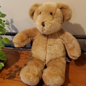 Build-A-Bear Teddy Bear